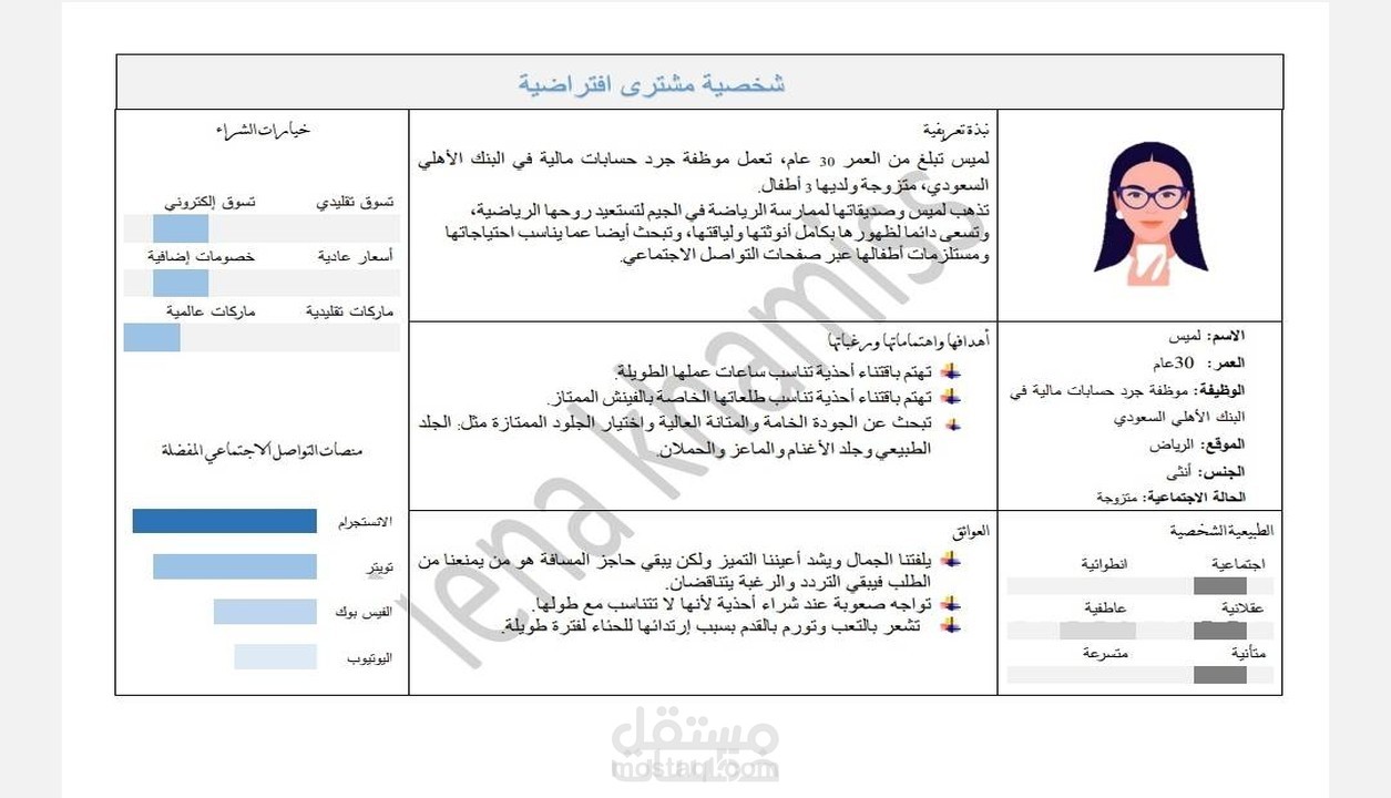 تحليل بيانات الجمهور وعمل شخصية المشترى المثالية الافتراضية