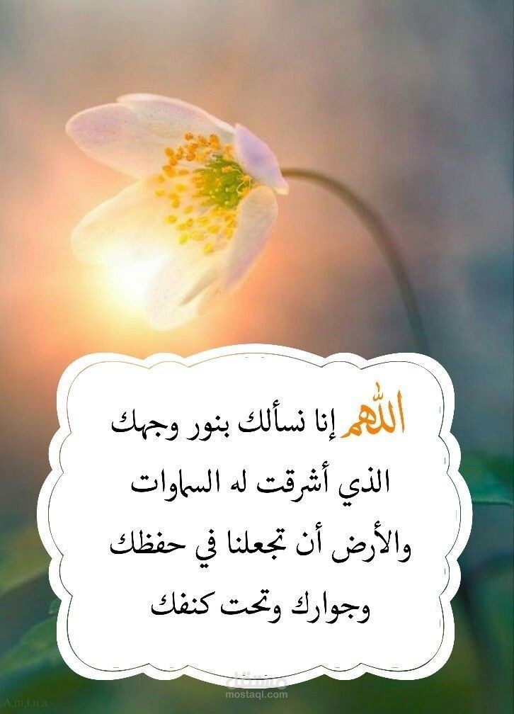 محدخل بيانات