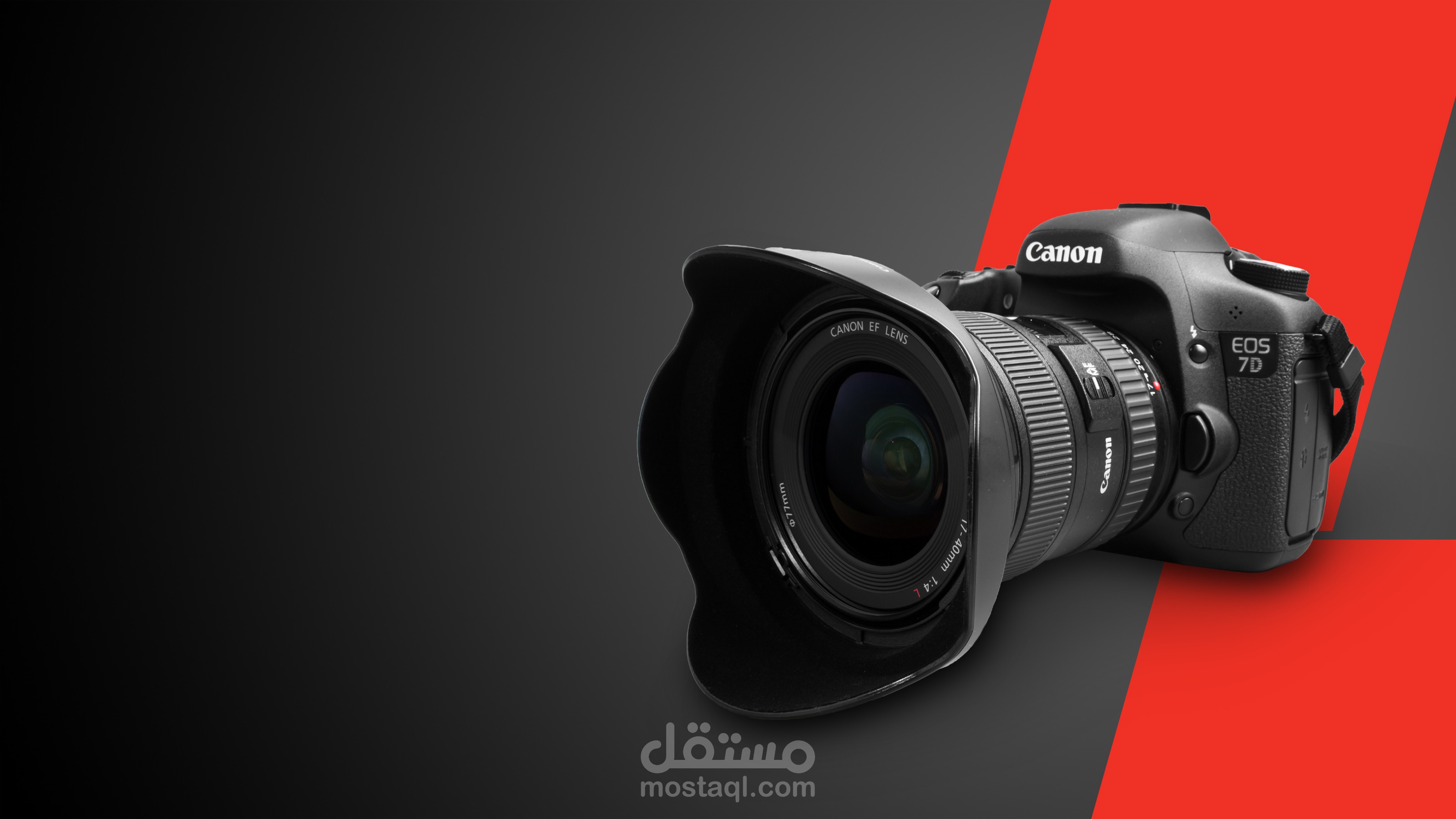 canon camera infographic