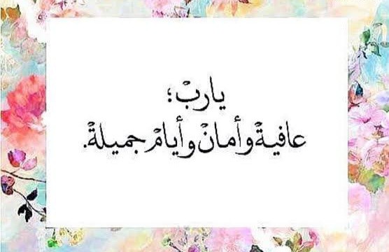 متخصص في المناقصات
