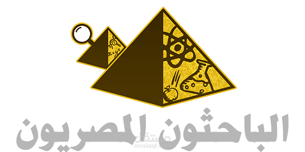 قائد سابق لفريق علوم الأرض والبيئة في مبادرة الباحثون المصريون