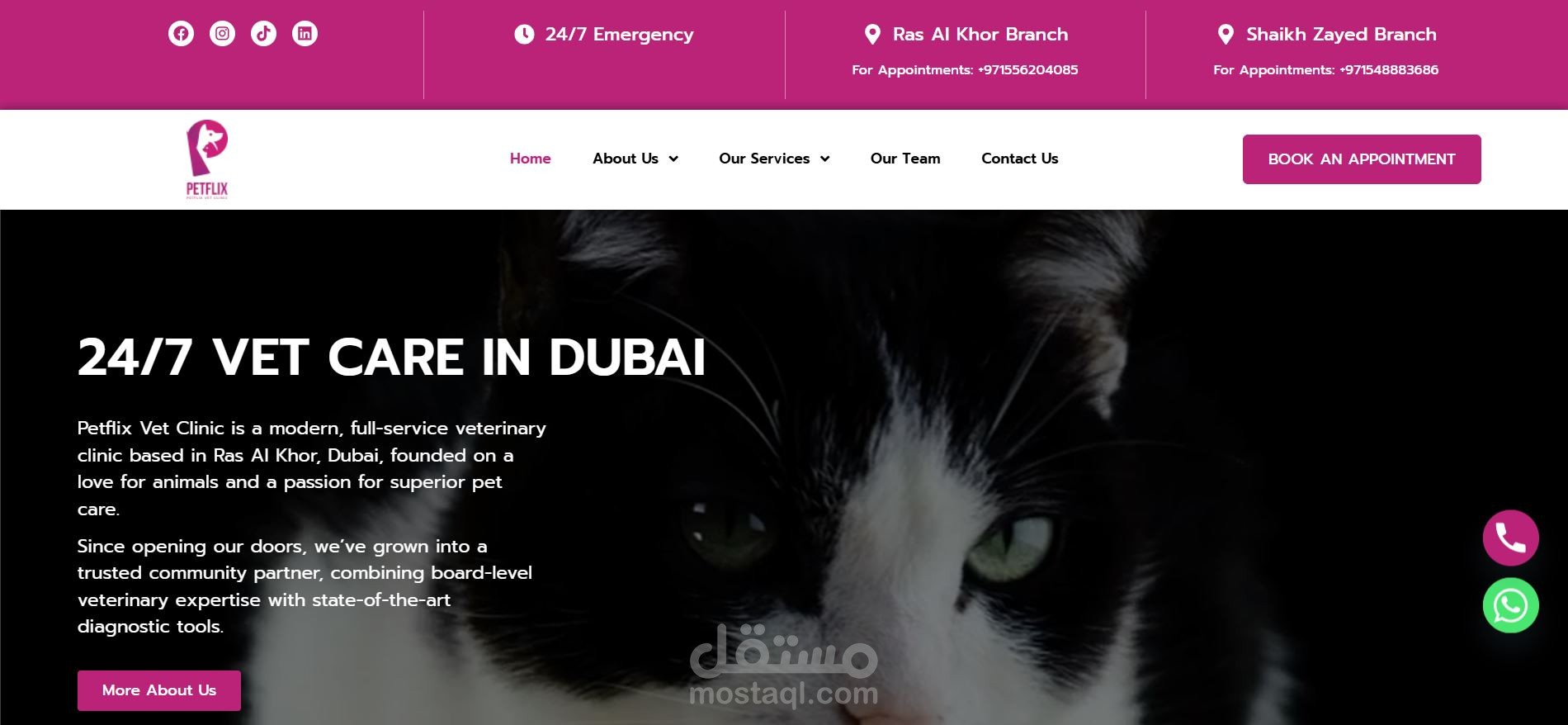 Petflix Veterinary Clinic (WordPress Website)