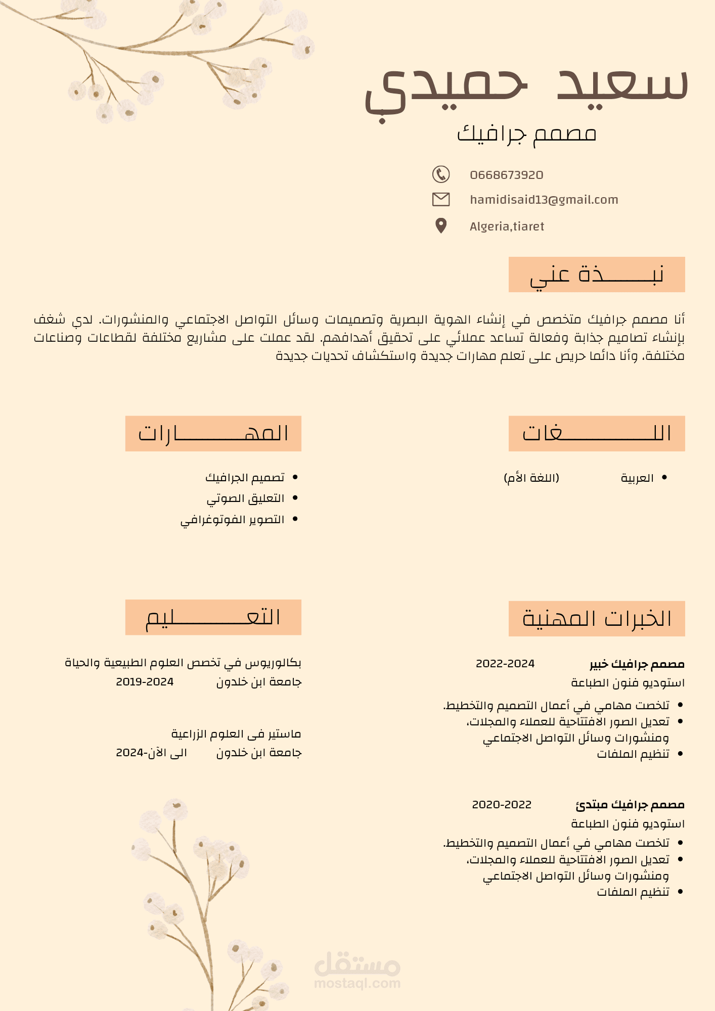تصميم سيرة ذاتية احترافية
