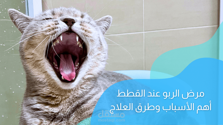 مقال حول مرض الربو عند القطط