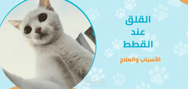 مقال حول القلق عند القطط