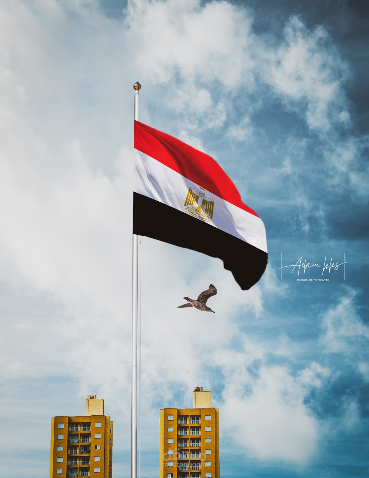 تقديم محتوى رقمي وتعليق صوتي