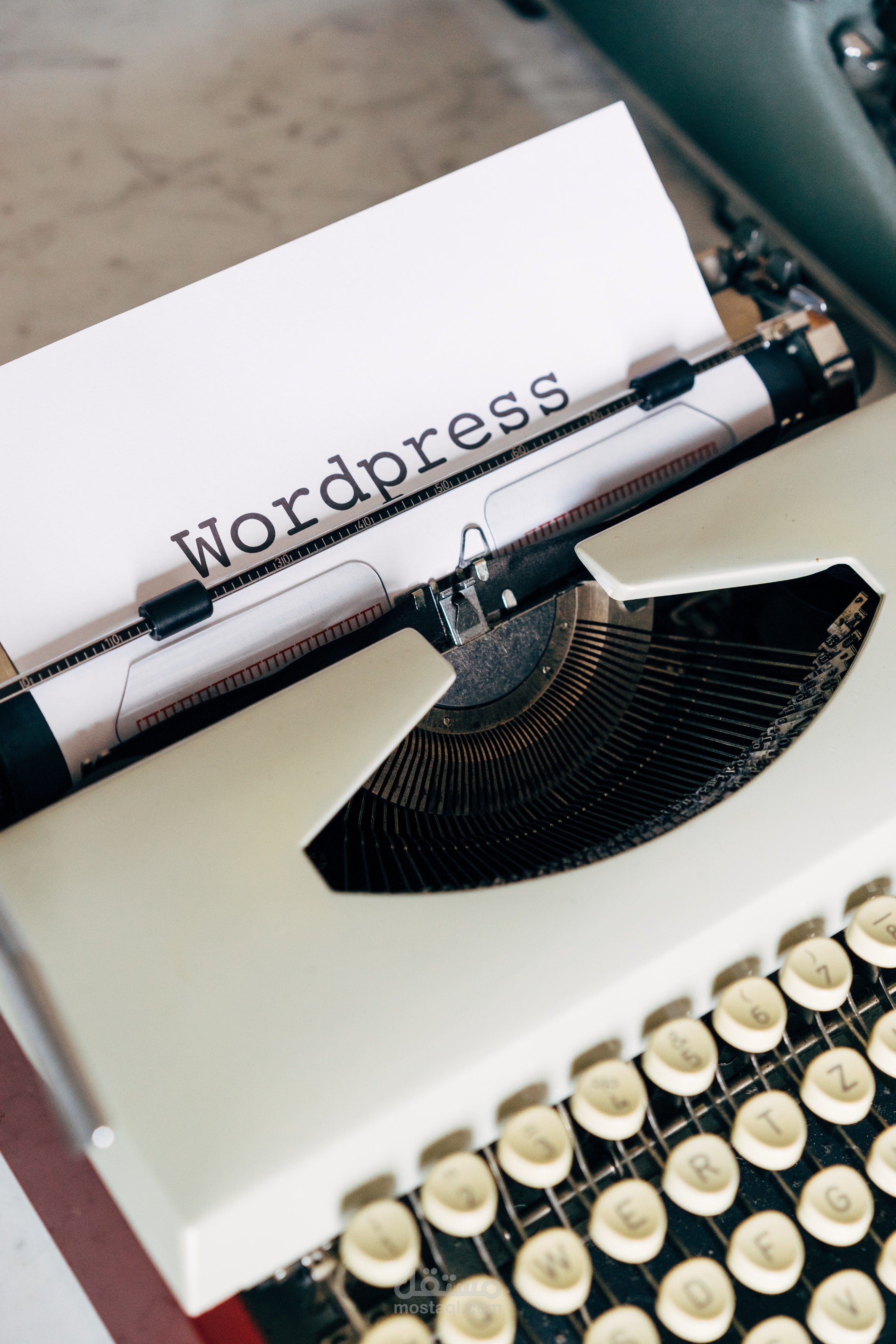 WordPress Developer