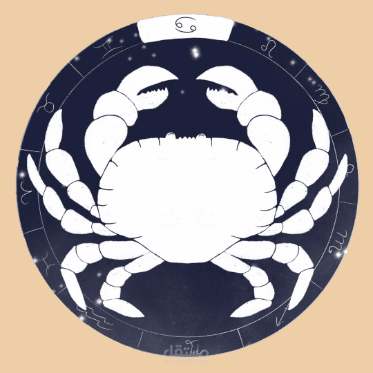 تصميمات شنط