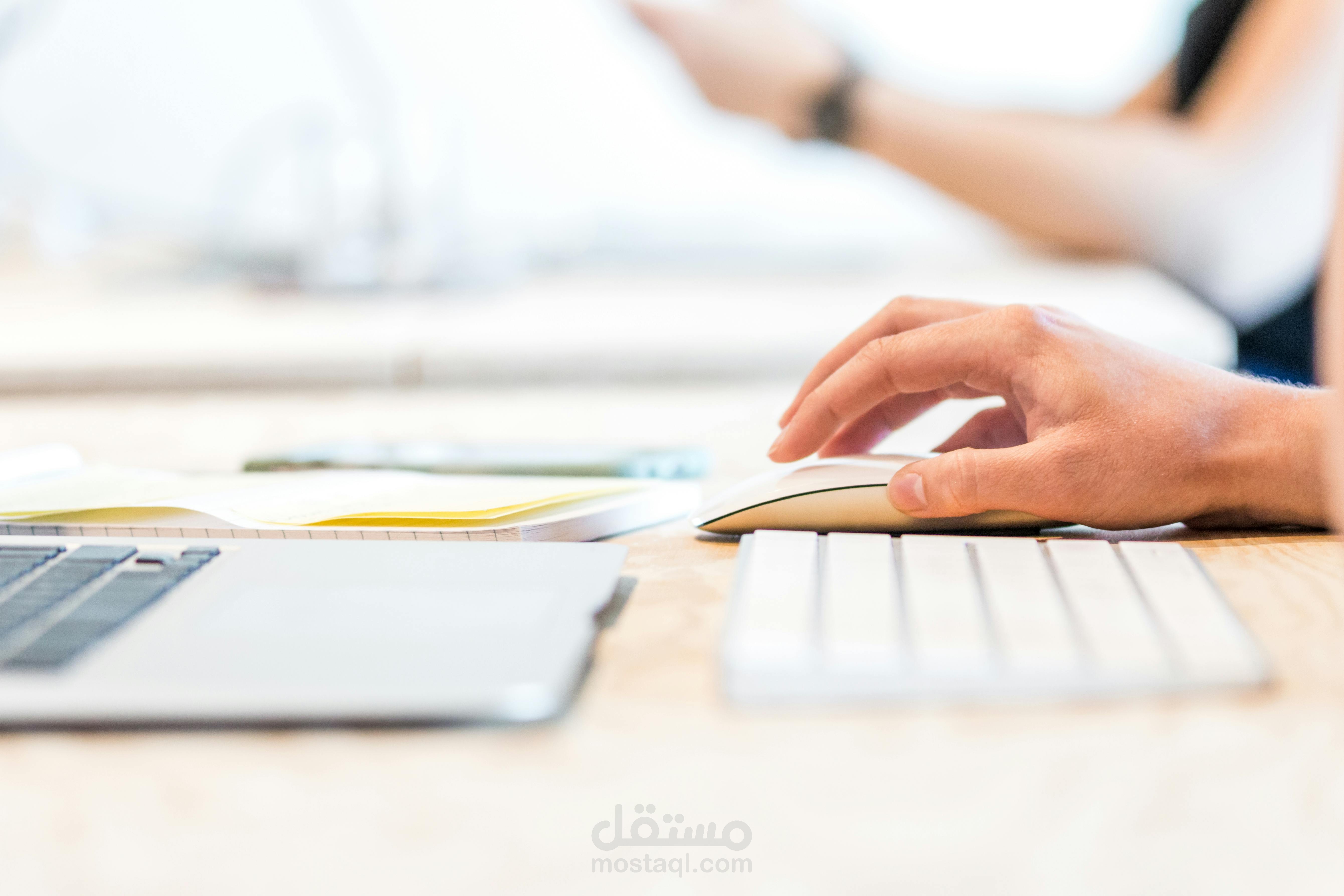 سيرة ذاتية باللغة العربية