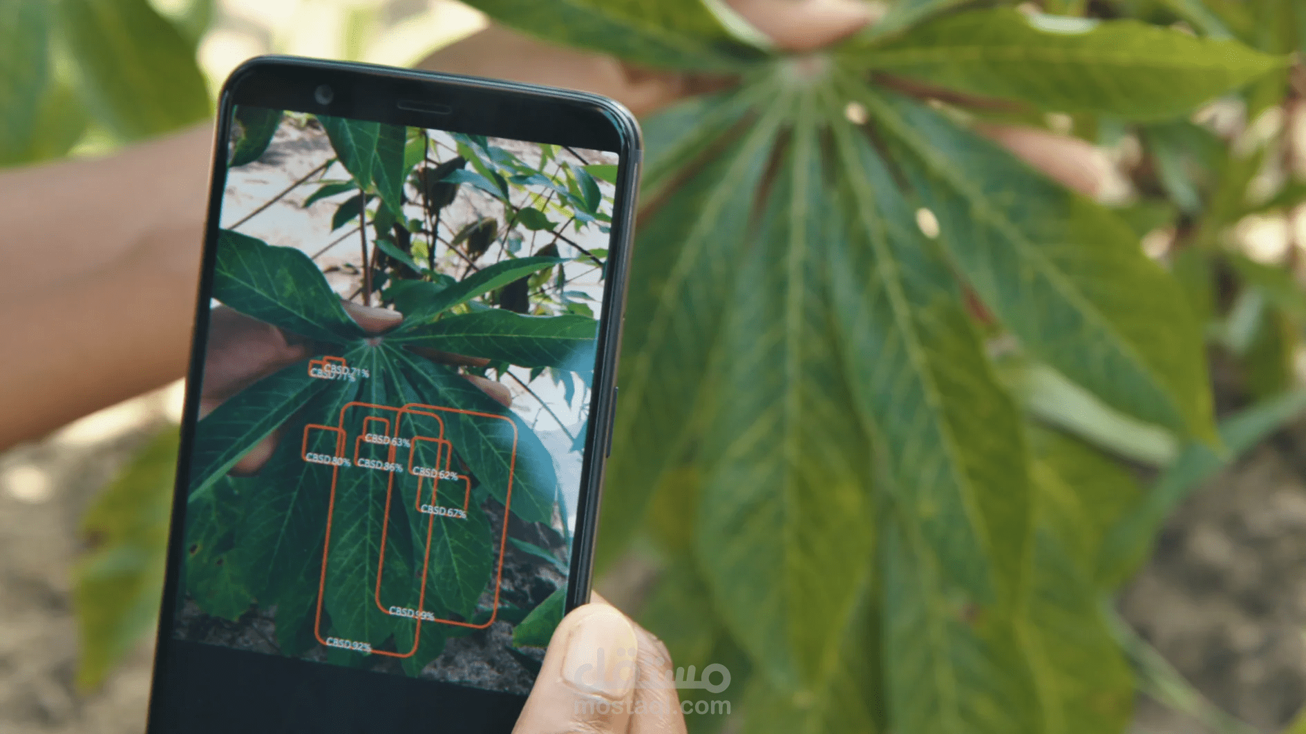 Farm Vision Web Application