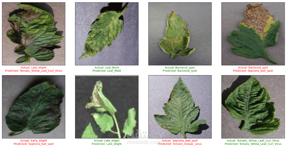 نظام ذكي لتصنيف أمراض أوراق الطماطم باستخدام الشبكات العصبية العميقة