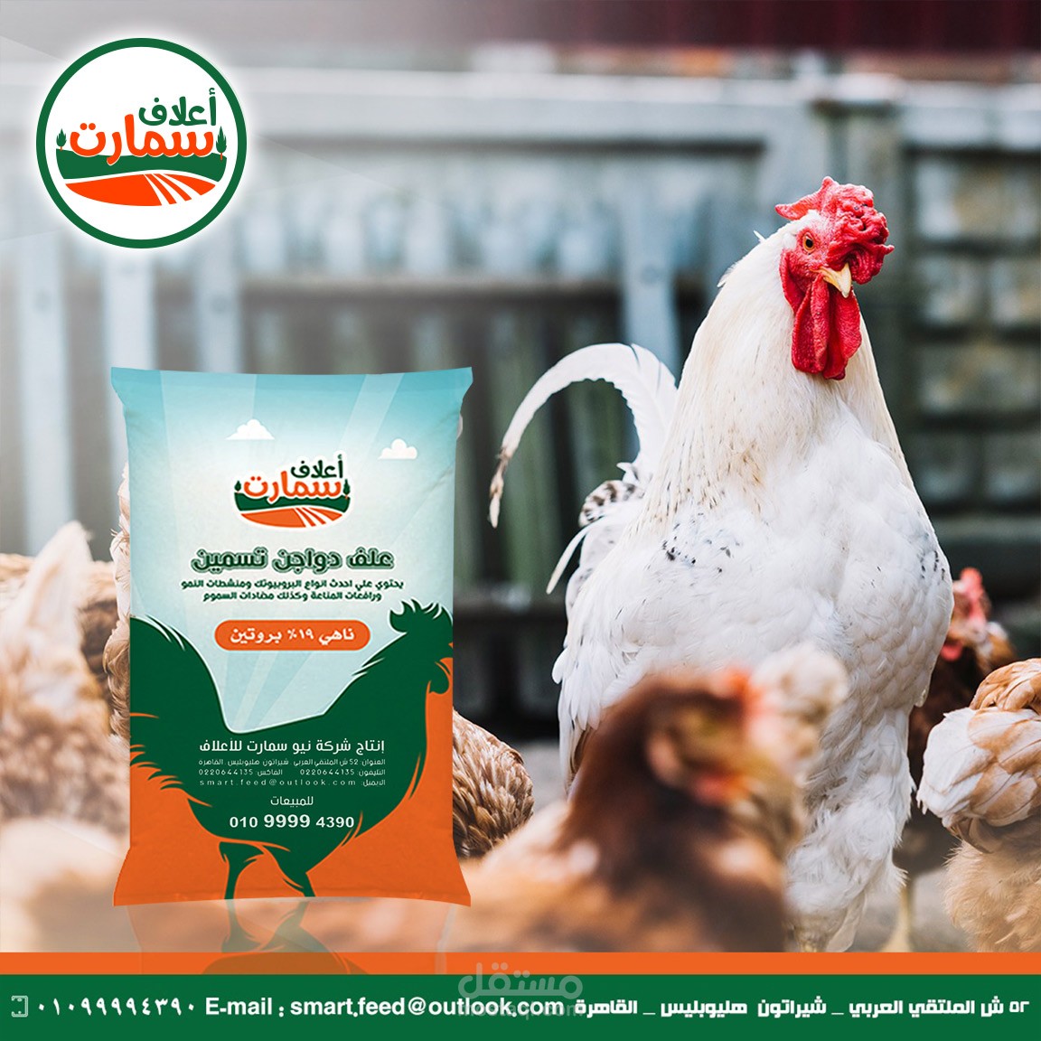 Social Media - Designs