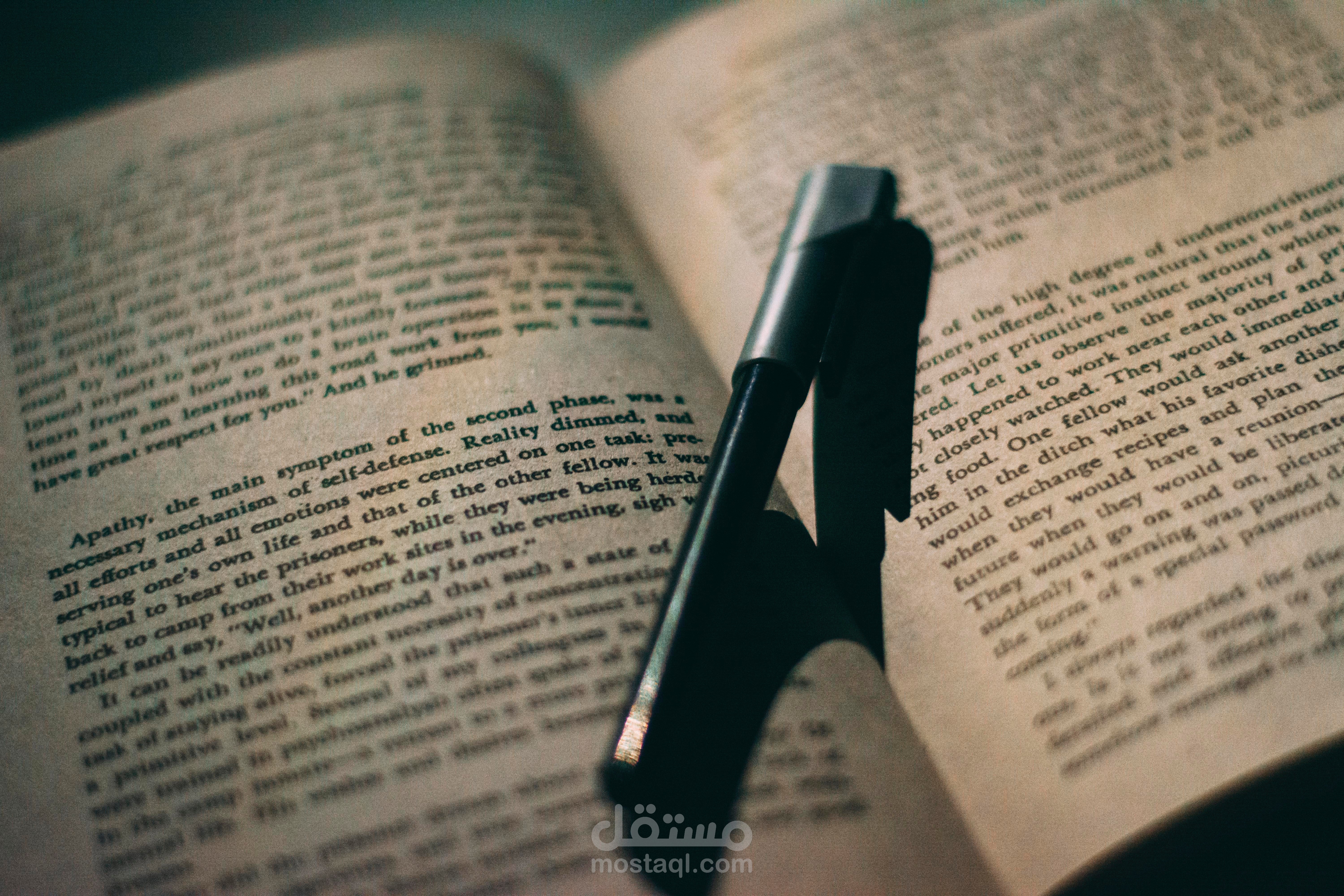 اقوم بترجمة النصوص و المقالات باللغتين العربية والإنجليزية