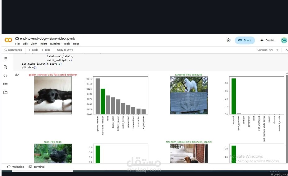 Dog Vision – Dog Breed Classifier