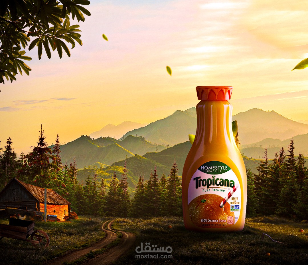 تصميم سوشيال