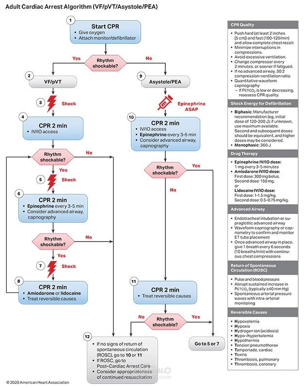 Medical notes and summary
