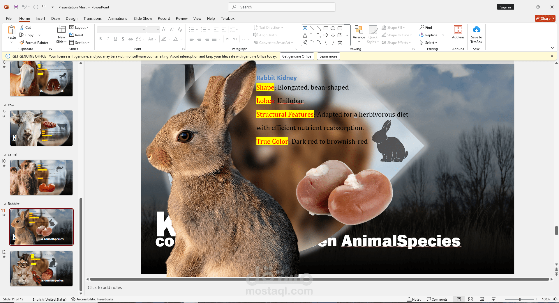 تصميم أفضل عروض برنامج باوربوينت بأحدث التقنيات المتوفرة