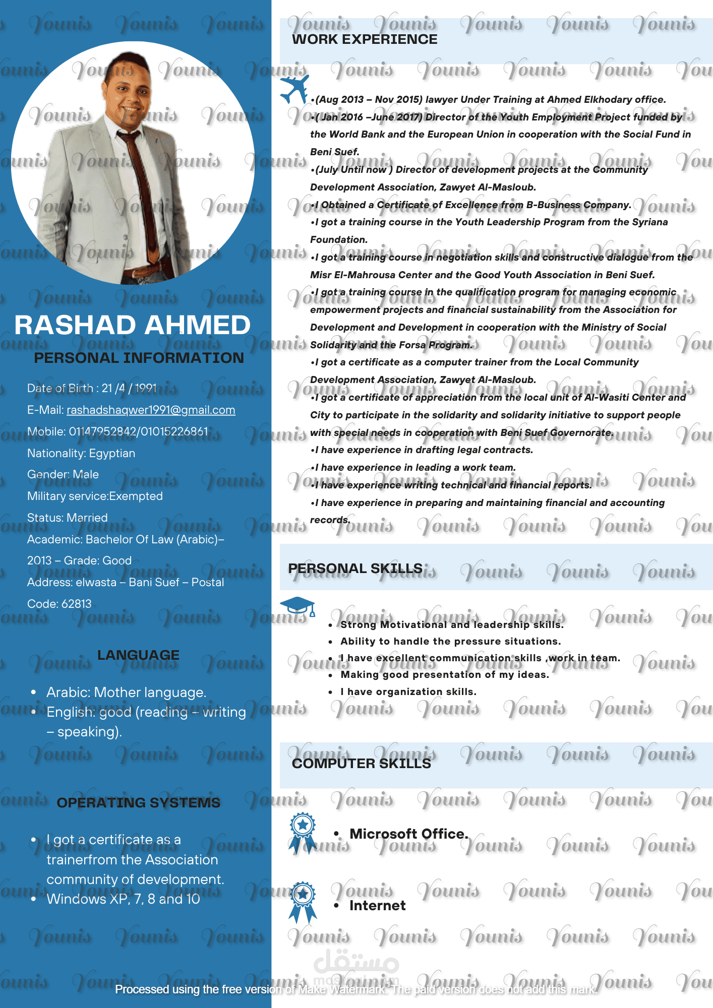 سي في CV احترافي عربي او انجليزي