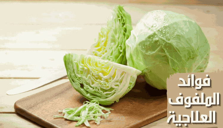 مقال عن فوائد الملفوف العلاجية