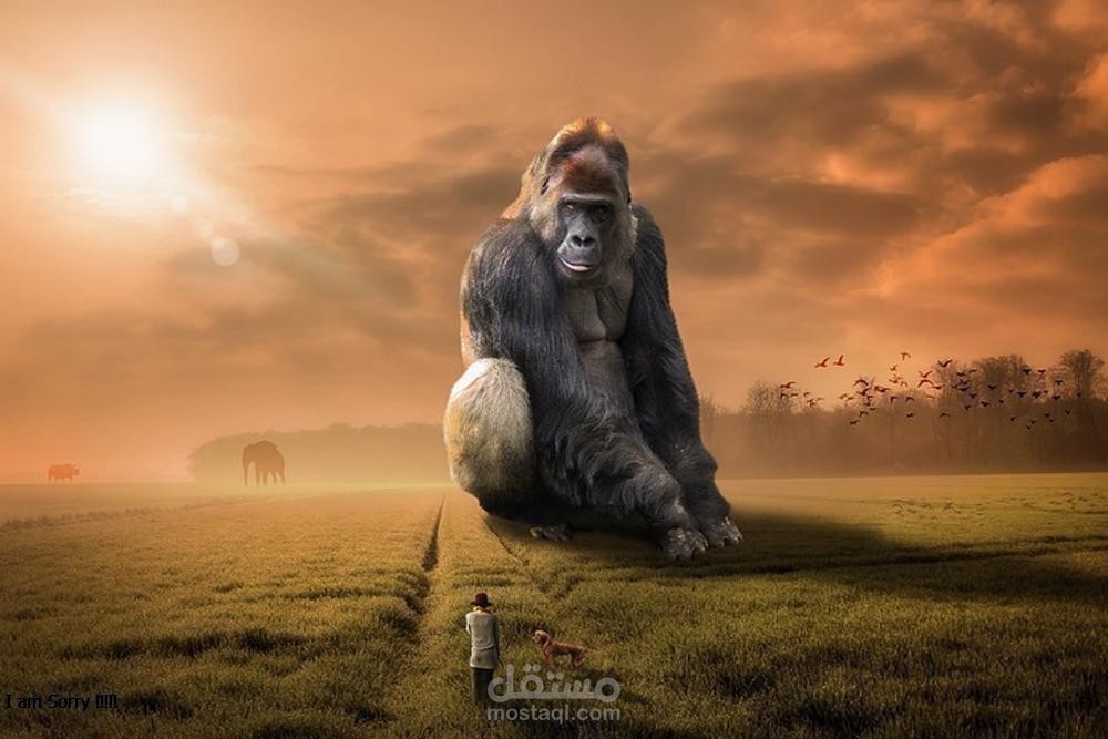 مقالة عن تفسير رؤية الغوريلا في المنام؛ أهم دلالات وتأويلات هذا الحلم بالنسبة للرجل والمرأة حسب تفاسير ابن سيرين