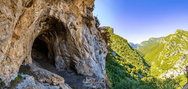 مقالة  عن رؤية الغار في المنام بالنسبة للرجل والمرأة حسب تفسير العالم محمد بن سيرين