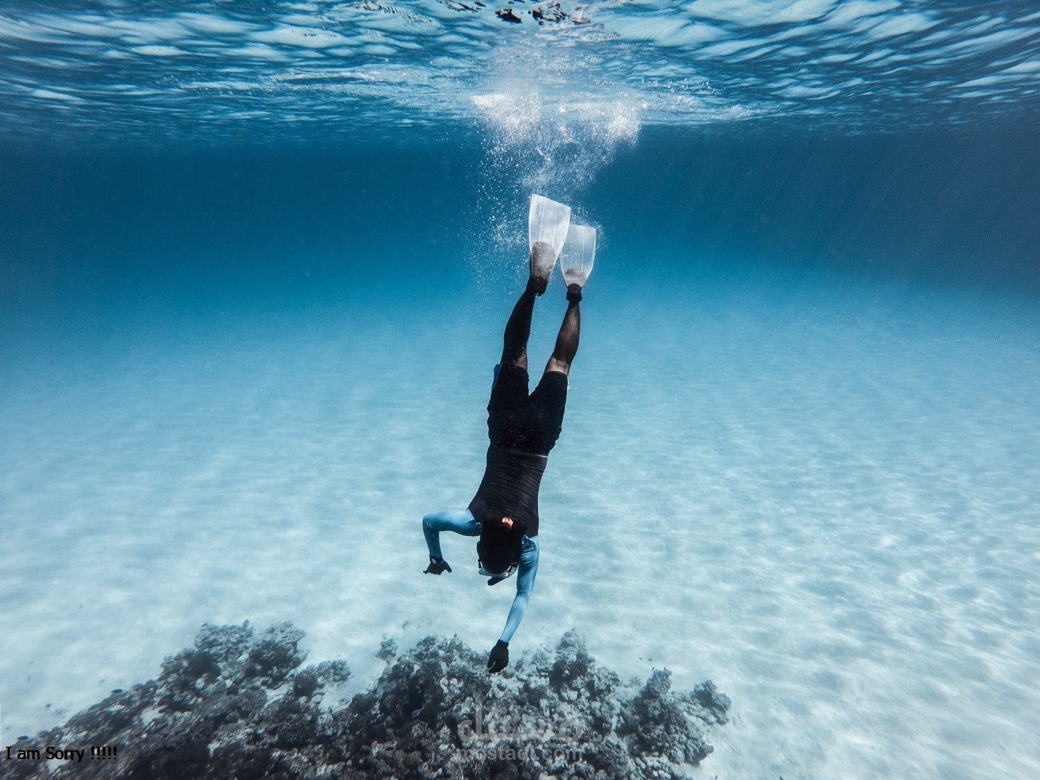 مقالة تتحدث عن الغوص في الأعماق في الحلم وأهم التفاسير  لابن سيرين