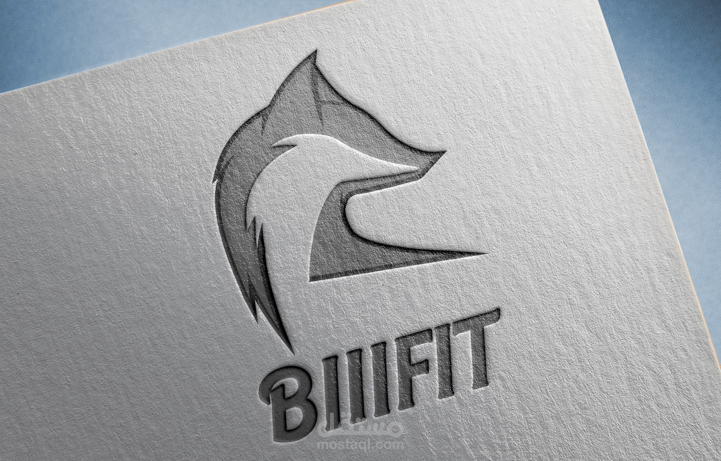 لوجو وهوية بصرية لماركة ملابس رياضية "Blllfit"