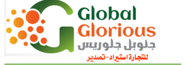تهيئة نظام محاسبي متكامل