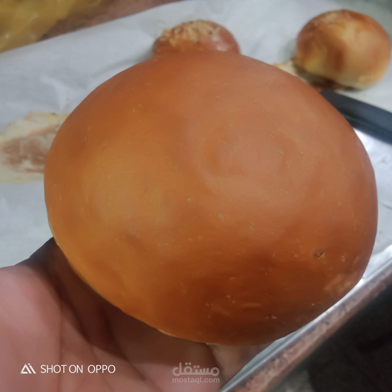 تدريب معجنات