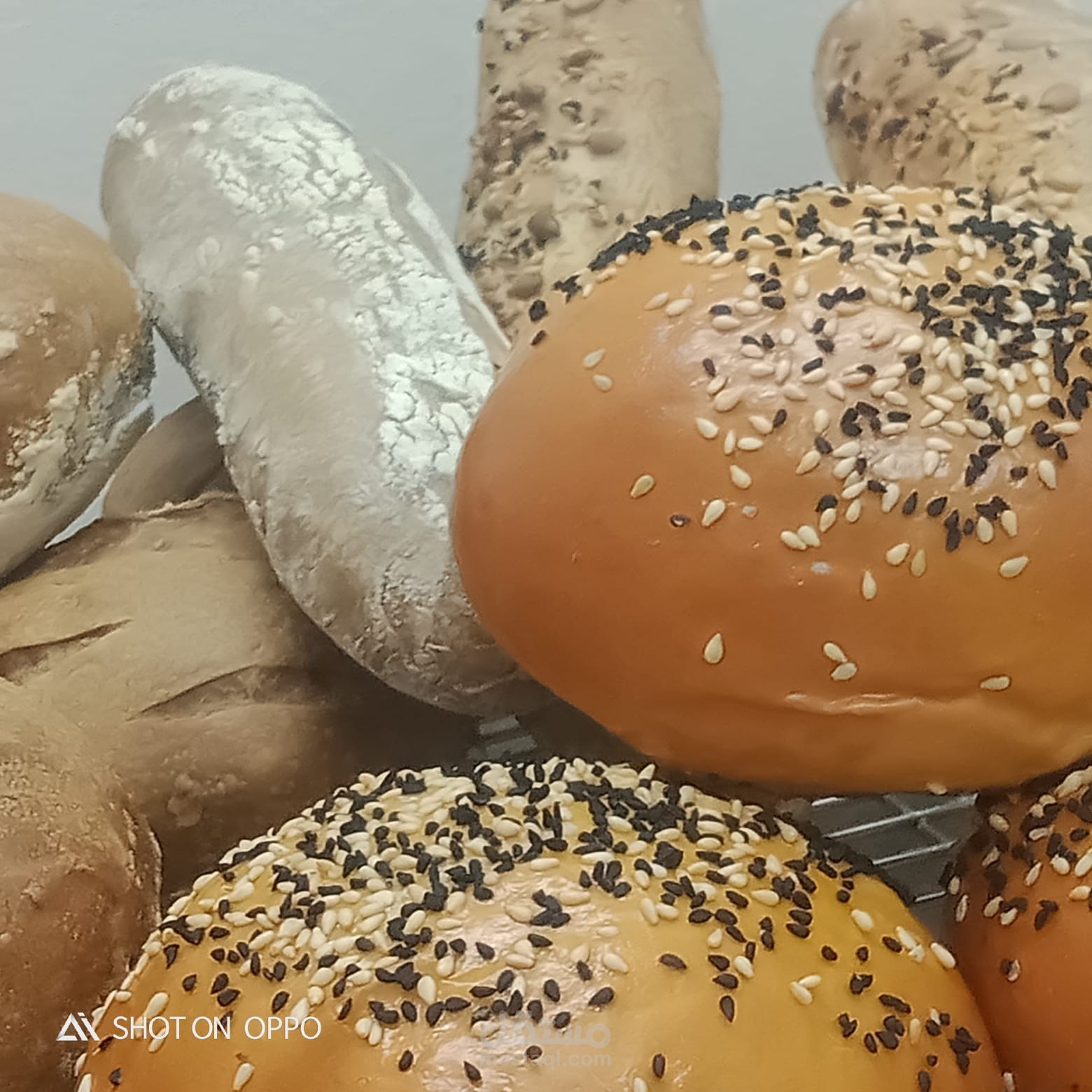 كورس خباز وبيكري