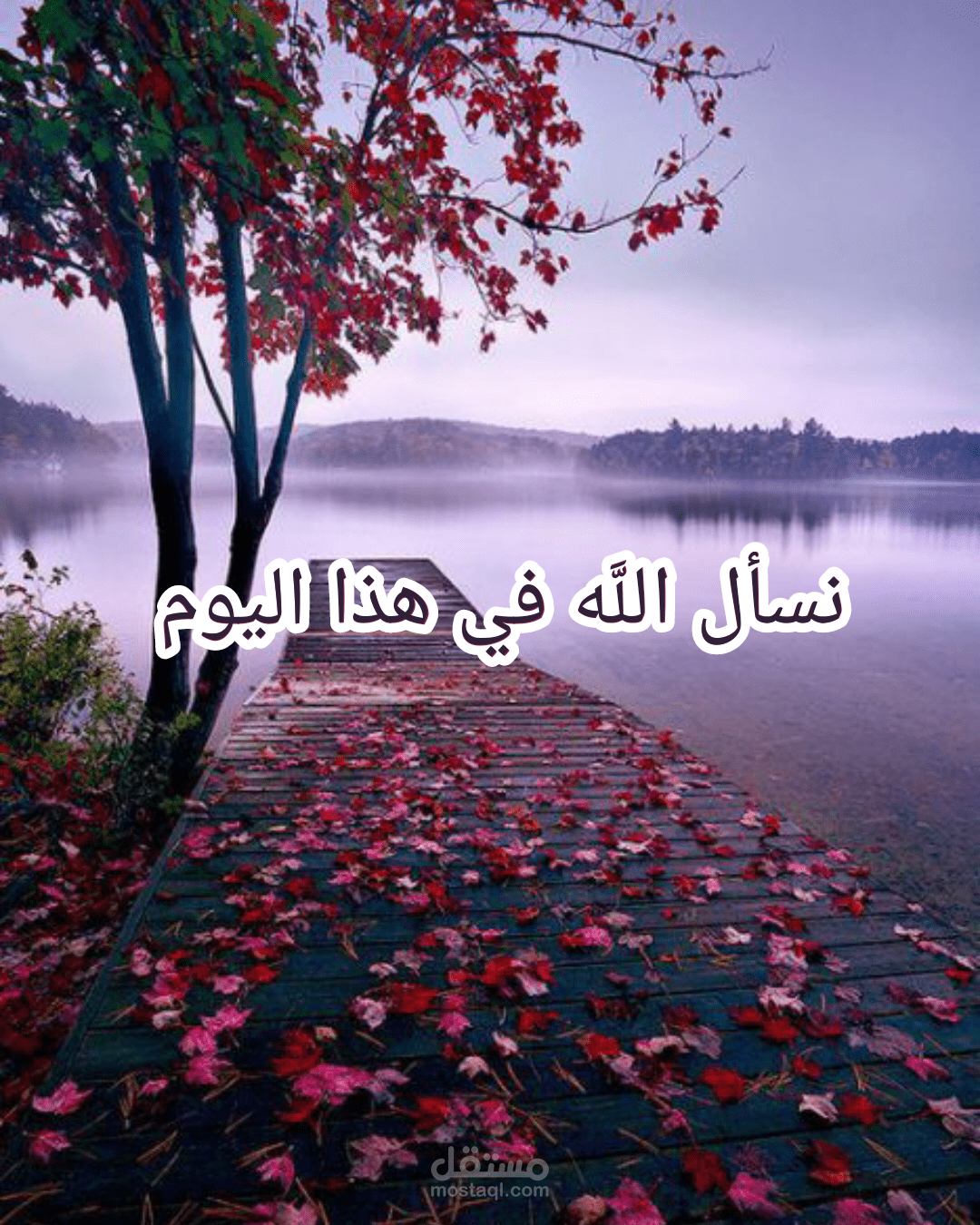 تصميم ريلز