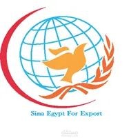 اخصائى تصدير