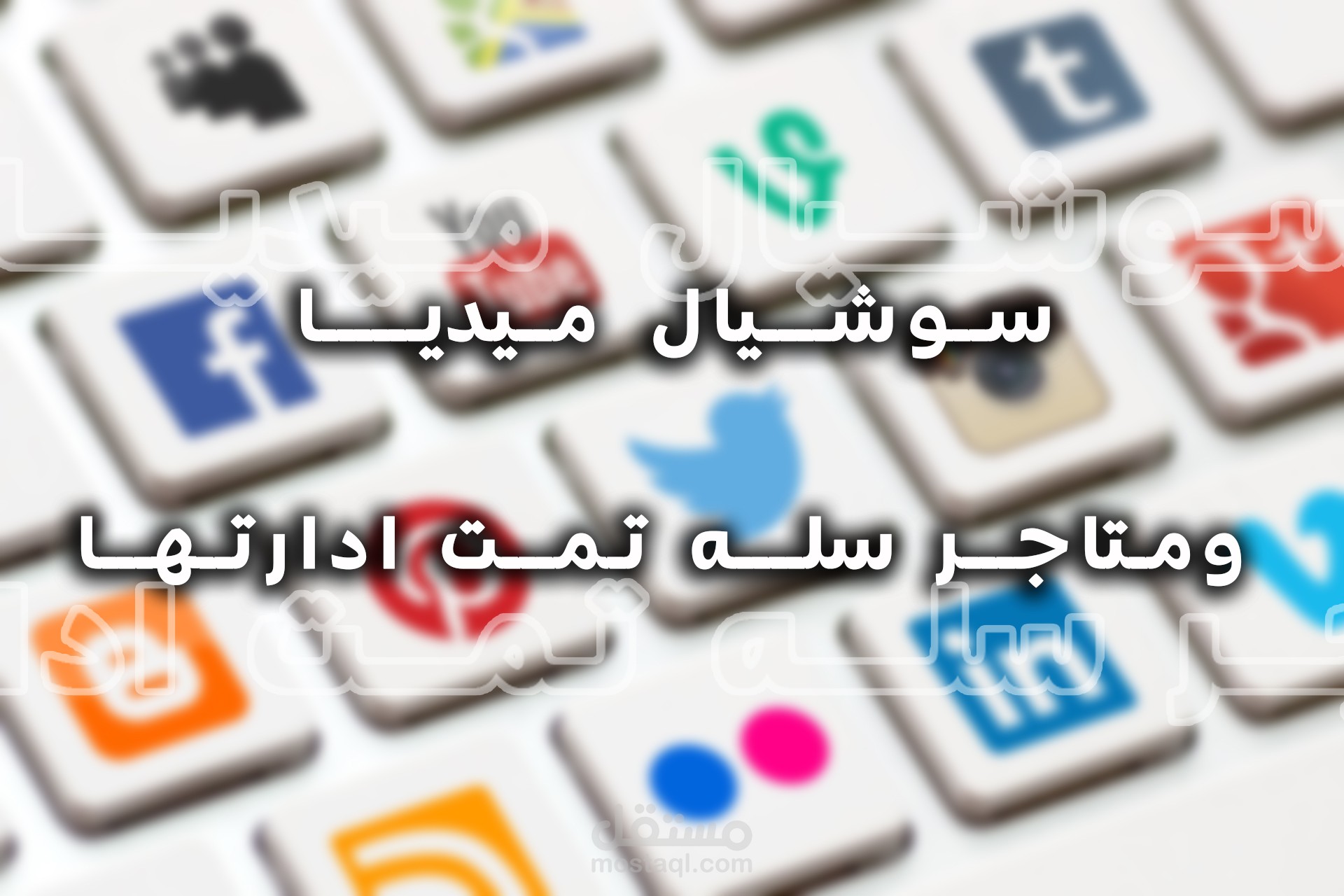 صفحات سوشيال ومتاجر سله تم انشاؤها