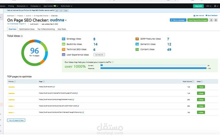 إصلاح مشاكل الاون بيج (On-Page) لموقع بخور