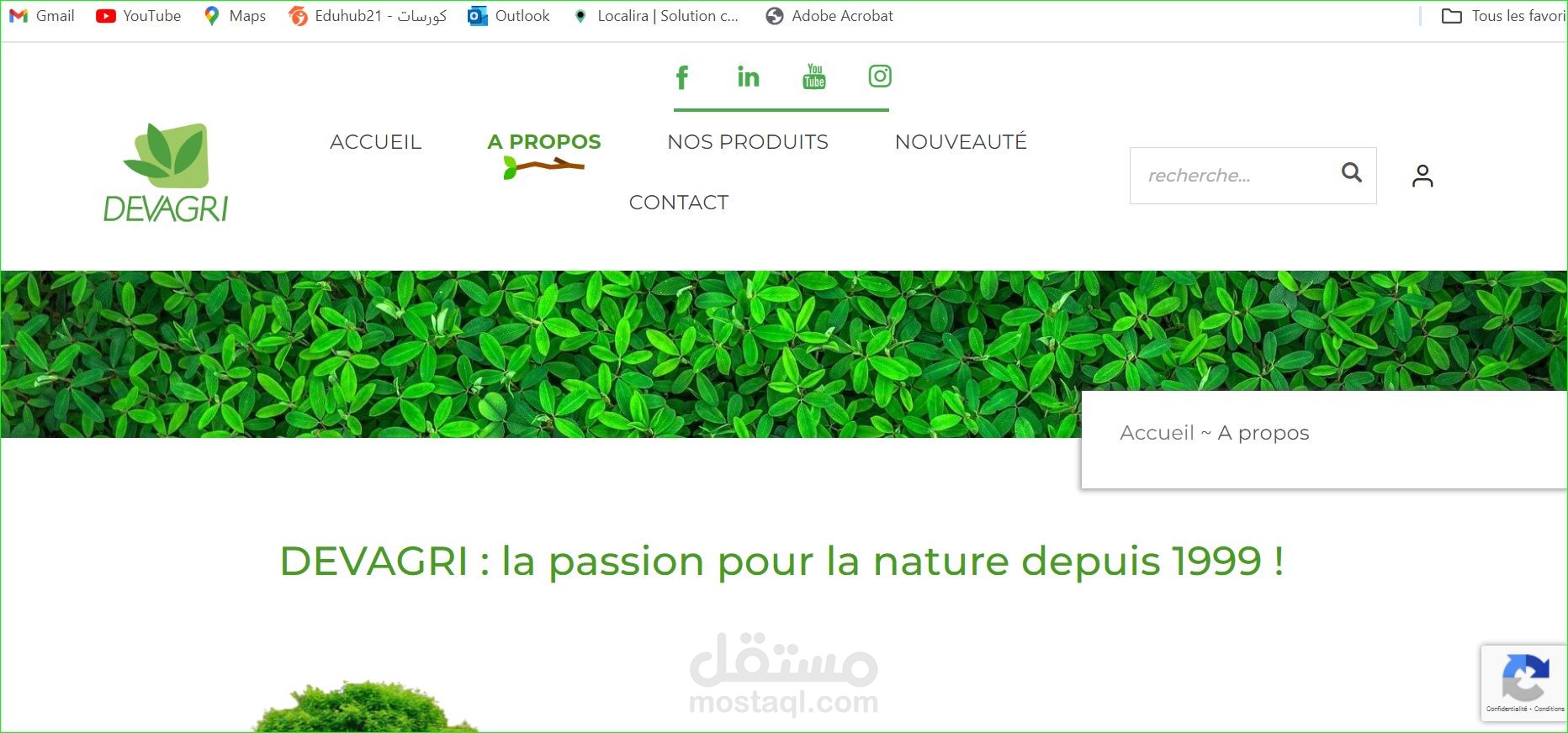 موقع إلكتروني لعرض المنتجات