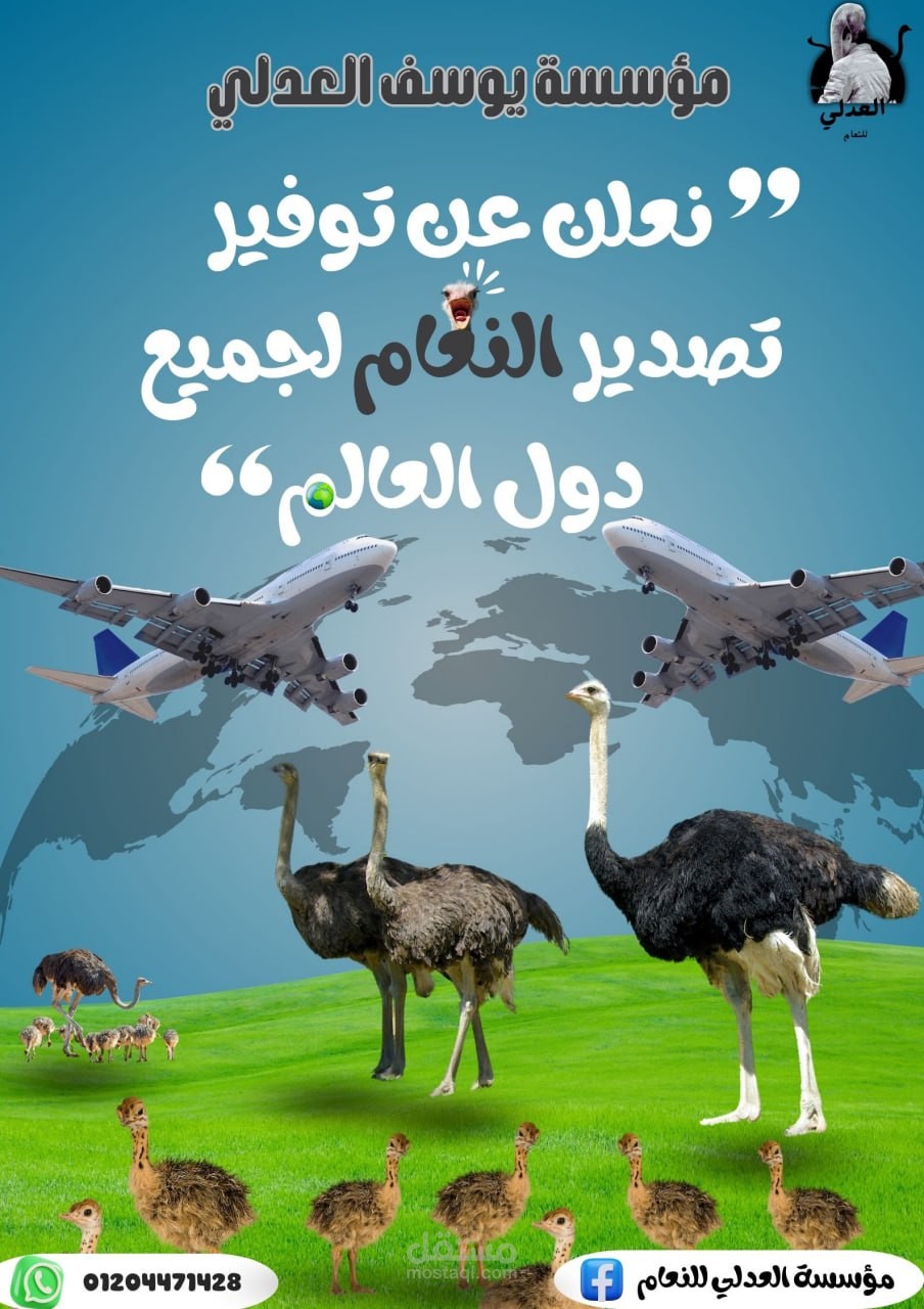بوستر سوشيل ميديا لتسويق النعام