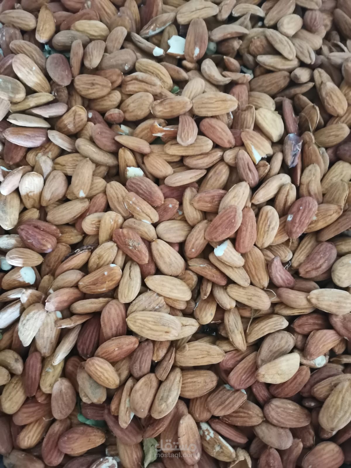 عمل بروفايل ملف تعريفي
