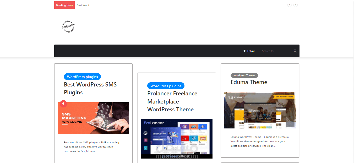 موقع Scriptatly علي الووردبريس