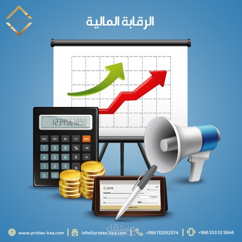 احكام الرقابة المالية وزيادة فرص الربحية