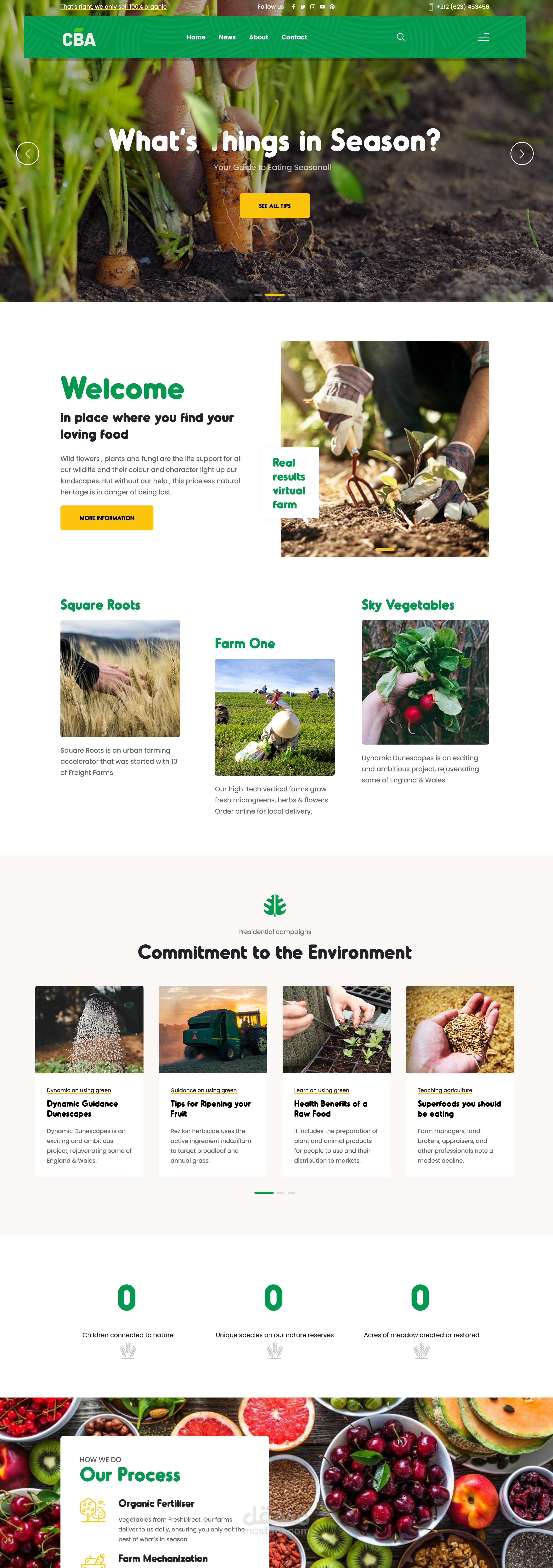 تصميم و برمجة موقع الغذاء الزراعي