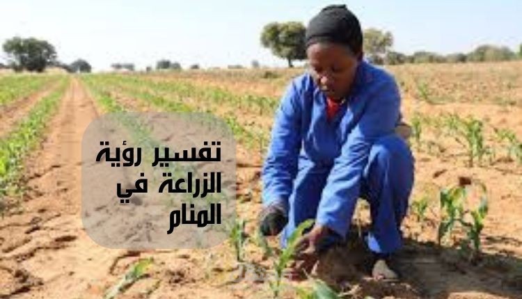 مقال عن تفسير رؤية الزراعة في المنام