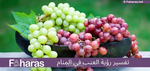 مقال عن تفسير رؤية العنب في المنام