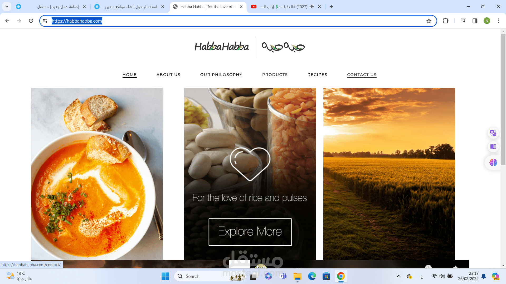 تصميم ونطوير مواقع وورد بريس