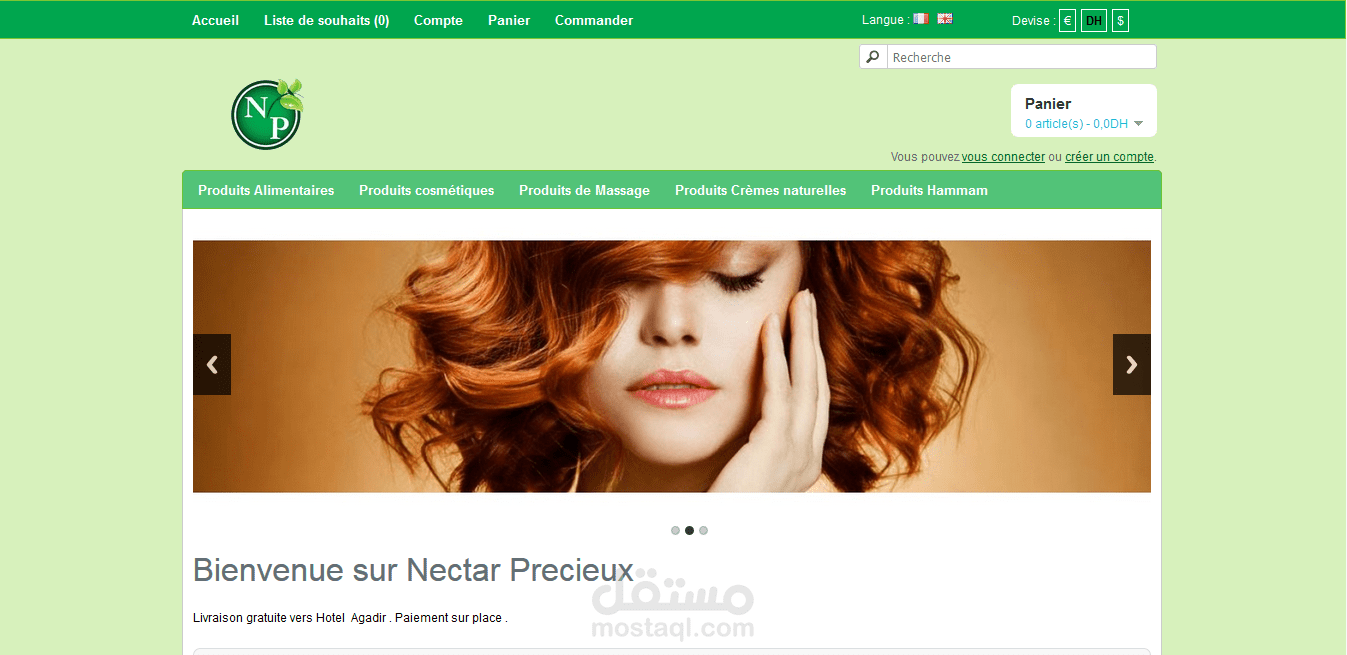 Ecommerce websites