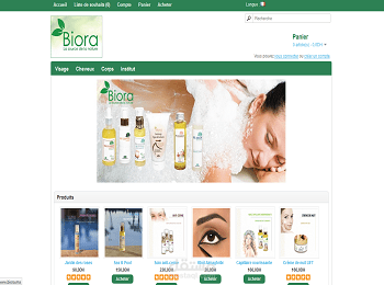 ecommerce website with opencart