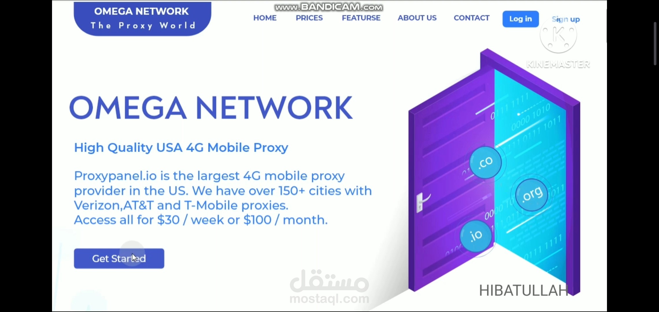 UI UX For Omega Network Landing page