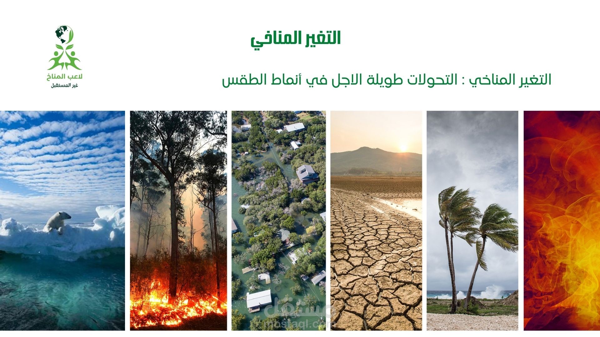 صناعة محتوى علمي