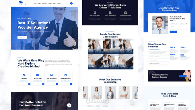 موقع الكتروني لوكالة استشارية في مجال IT