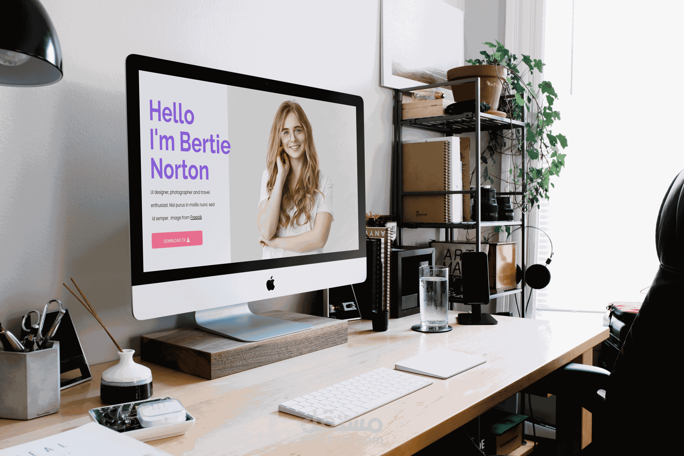 صفحة landing page