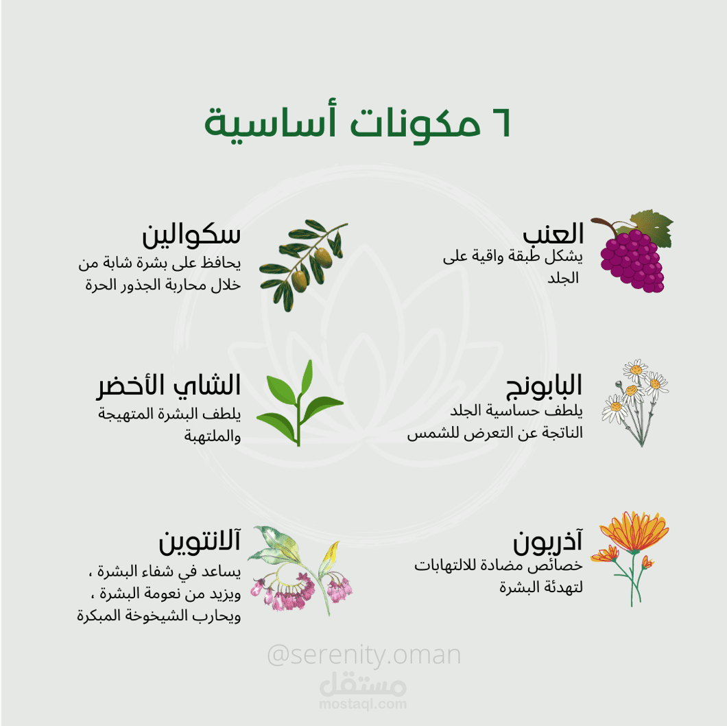 تصميم بوستات و كتابة محتوى لمتجر منتجات العناية بالبشرة في انستجرام